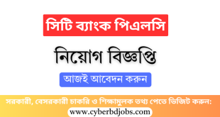 সিটি ব্যাংক পিএলসি