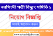 Narshingdi PBS 1 Job Circular 2025